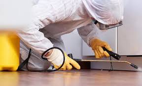 Emergency Pest Control in Citrus Hills, FL